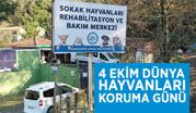 4 EKİM DÜNYA HAYVANLARI KORUMA GÜNÜ